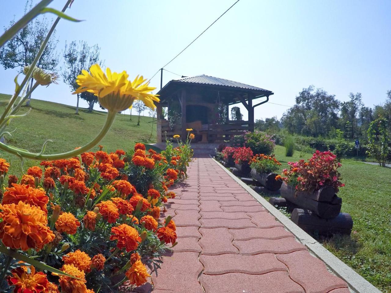 Apartment Ante Slunj Dış mekan fotoğraf